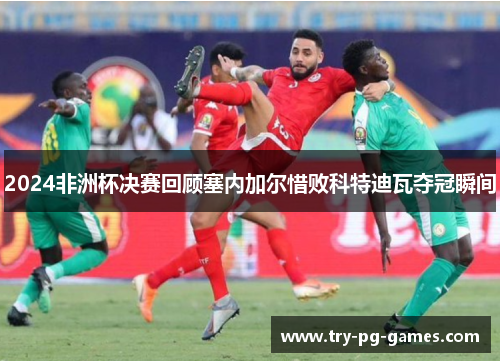 2024非洲杯决赛回顾塞内加尔惜败科特迪瓦夺冠瞬间